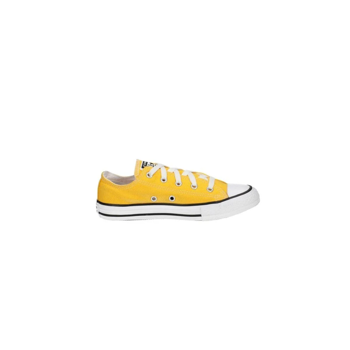 Converse All Star Low Top Sneakers